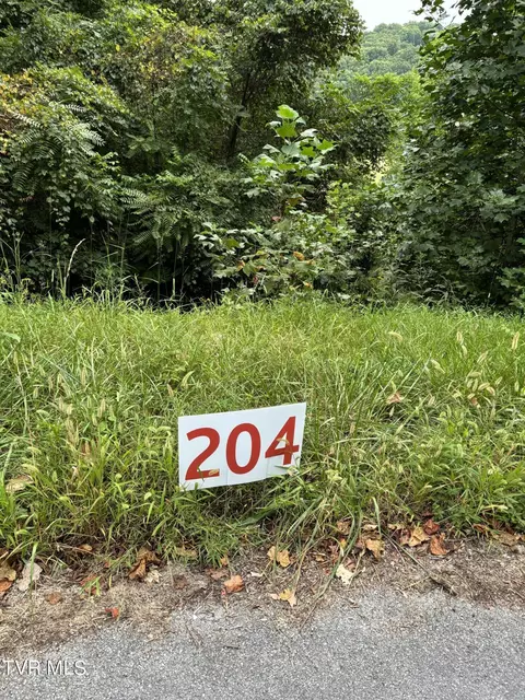 204 Ox Bow Ave Unicoi Tn 37692, Unicoi, TN 37692