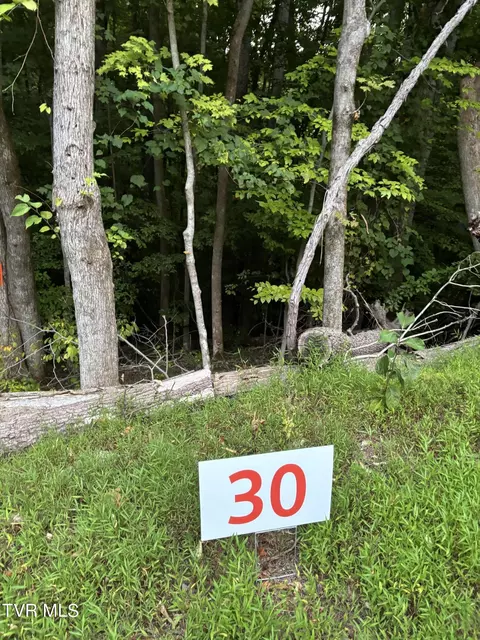 30 Fox Trott Pl Unicoi Tn 37692, Unicoi, TN 37692