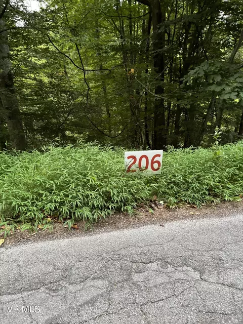 206 Ox Bow Ave Unicoi Tn 37692, Unicoi, TN 37692