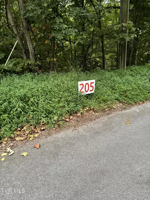 205 Ox Bow Ave Unicoi Tn 37692, Unicoi, TN 37692