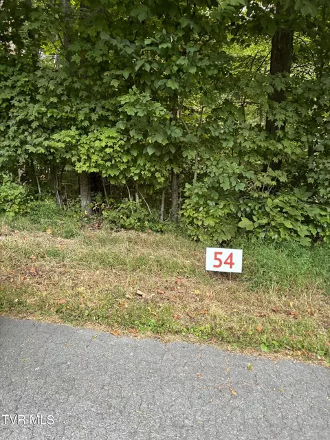54 Golf Course Rd Unicoi Tn 37692, Unicoi, TN 37692