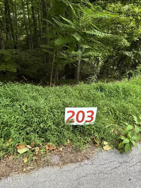 203 Ox Bow Ave Unicoi Tn 37692, Unicoi, TN 37692