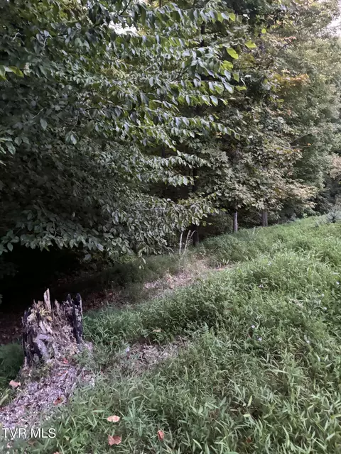 8 Poplar Pl Unicoi Tn 37692, Unicoi, TN 37692