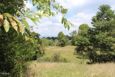 tbd Chestnut Ridge Road Chilhowie Va 24319, Chilhowie, VA 24319