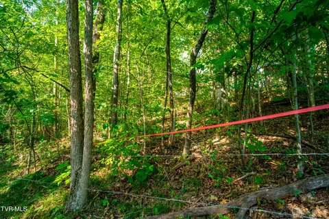 101 Wright Lane Bristol Tn 37620, Bristol, TN 37620 photo 45