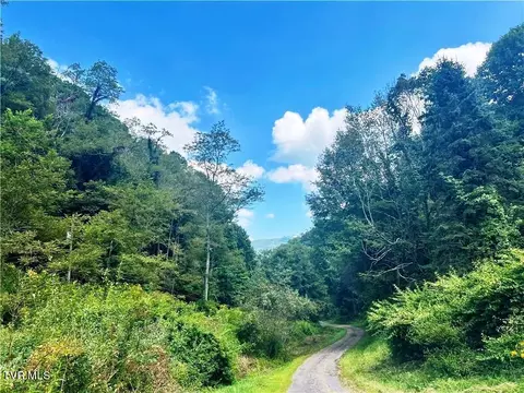 tbd Bill Wallace Lane Trade Tn 37691, Trade, TN 37691