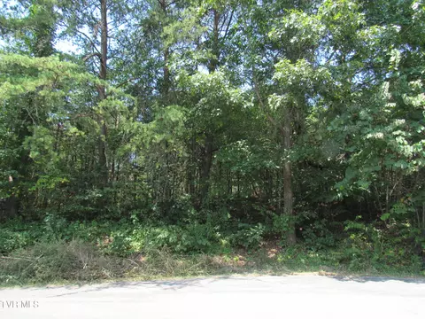 tbd Clate Place Church Hill Tn 37642, Church Hill, TN 37642