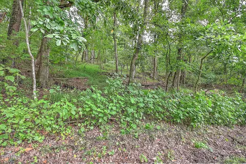 tbd Samps Hollow Road Elizabethton Tn 37643, Elizabethton, TN 37643