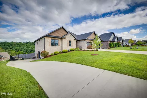 1167 Panoramic Vista Gray Tn 37615, Gray, TN 37615 photo 3
