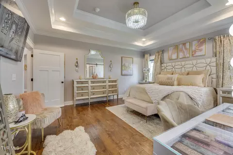 1167 Panoramic Vista Gray Tn 37615, Gray, TN 37615 photo 20