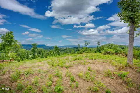 tbd Rock Springs Drive Kingsport Tn 37660, Kingsport, TN 37660