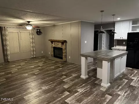 Living - 405 Pritchard Road Limestone Tn 37681, Limestone, TN 37681 photo 1 of 1