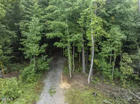 143 Cedar Street Johnson City Tn 37601, Johnson City, TN 37601