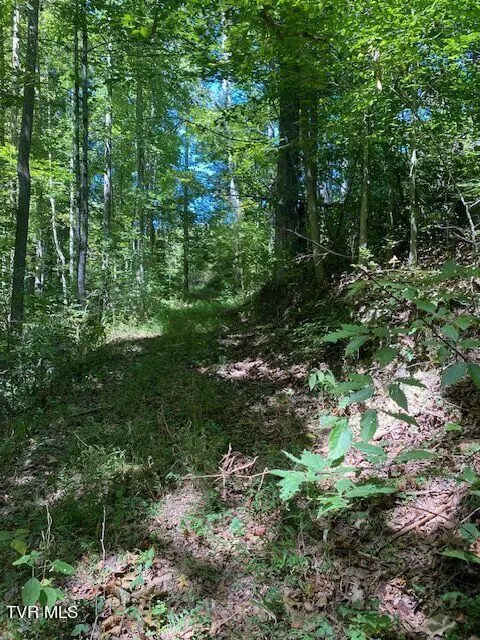 tbd Hurricane Road Jonesville Va 24263, Jonesville, VA 24263