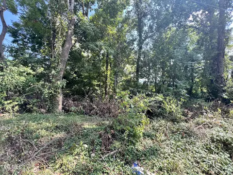 tbd Siam Road Elizabethton Tn 37643, Elizabethton, TN 37643