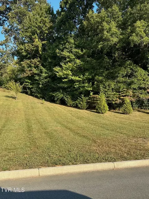 lot2 Sylvias Meadow Jonesborough Tn 37659, Jonesborough, TN 37659