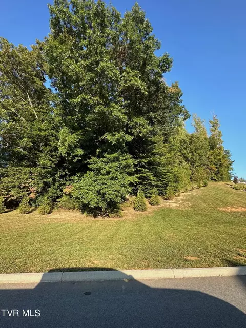 lot3 Sylvias Meadow Jonesborough Tn 37659, Jonesborough, TN 37659