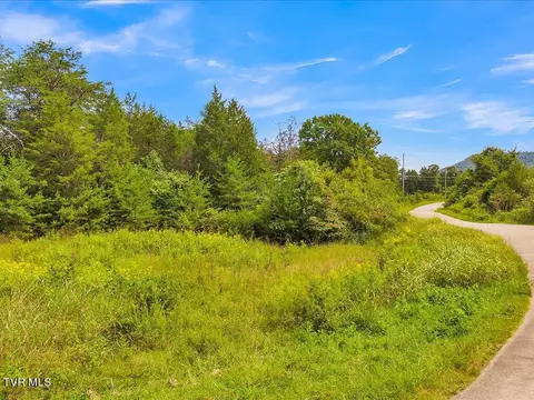 175 Miller Road Bean Station Tn 37708, Bean Station, TN 37708