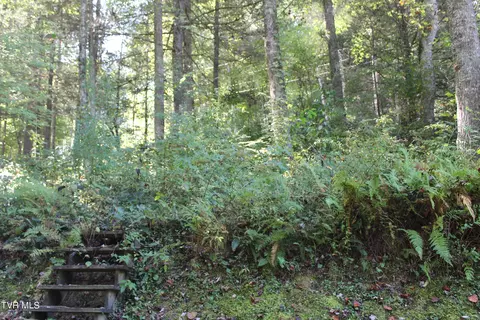 147 Hound Trail Keokee Va 24265, Keokee, VA 24265 photo 6