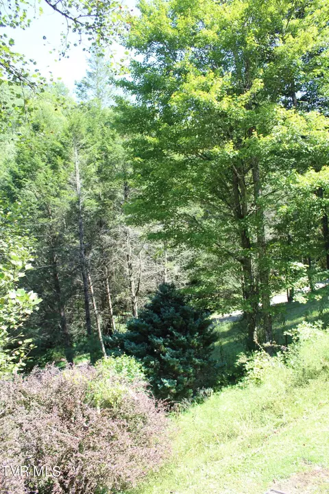 147 Hound Trail Keokee Va 24265, Keokee, VA 24265 photo 38