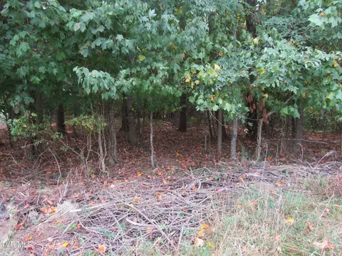 0 Baywood Dr Lot 1 Piney Flats Tn 37686, Piney Flats, TN 37686