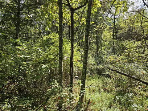 tbd Highway 70 Rogersville Tn 37857, Rogersville, TN 37857