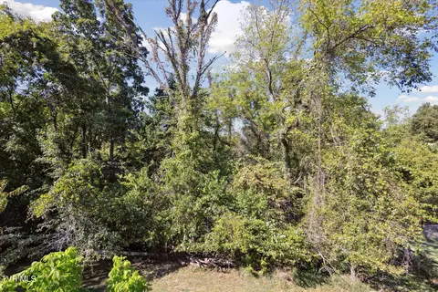 192 Rhody Drive Gray Tn 37615, Gray, TN 37615 photo 34