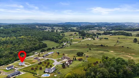 156 Milk Thistle Way Fall Branch Tn 37656, Fall Branch, TN 37656 photo 28
