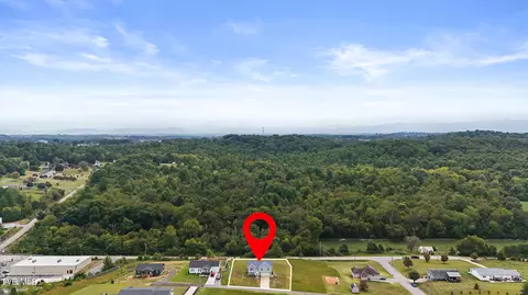 156 Milk Thistle Way Fall Branch Tn 37656, Fall Branch, TN 37656 photo 27