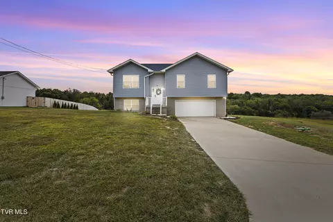 156 Milk Thistle Way Fall Branch Tn 37656, Fall Branch, TN 37656