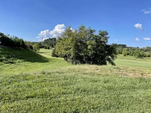 159 Quail Creek Court Jonesborough Tn 37659, Jonesborough, TN 37659