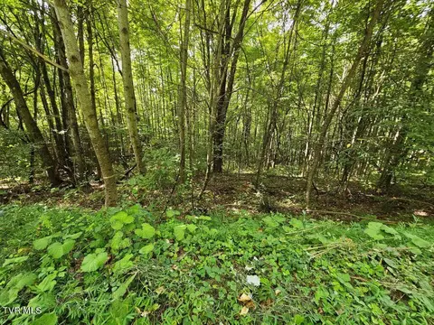 13 51 Acre Cartwright Road Rowe Va 24646, Rowe, VA 24646