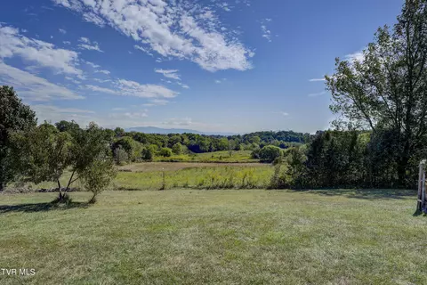 298 Frog Level Road Gray Tn 37615, Gray, TN 37615 photo 46