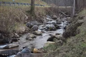 Other - 108 Sam Miller Road Erwin Tn 37650, Erwin, TN 37650 photo 1 of 7