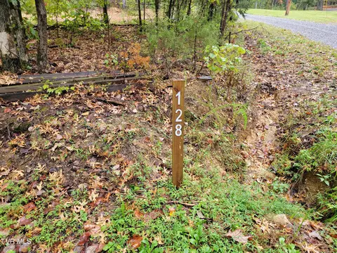 128 Deer Path Way Parrottsville Tn 37843, Parrottsville, TN 37843