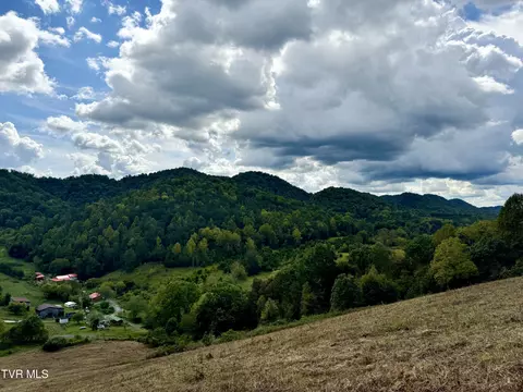 0 Gravely Valley Rd Road Eidson Tn 37731, Eidson, TN 37731