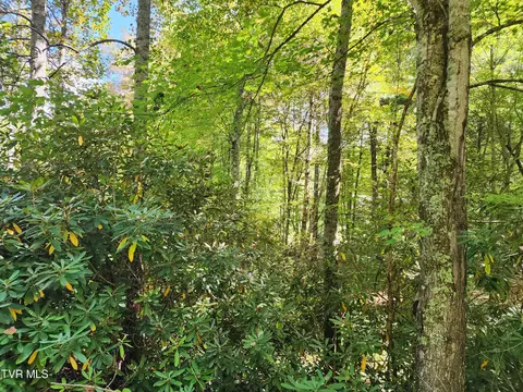 lot4 Myrtle Drive Butler Tn 37640, Butler, TN 37640