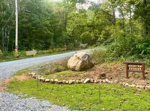 0 Tbd South Highway 340 Del Rio Tn 37727, Del Rio, TN 37727