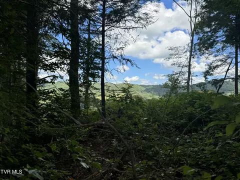 221 Shell Creek Road Roan Mountain Tn 37687, Roan Mountain, TN 37687
