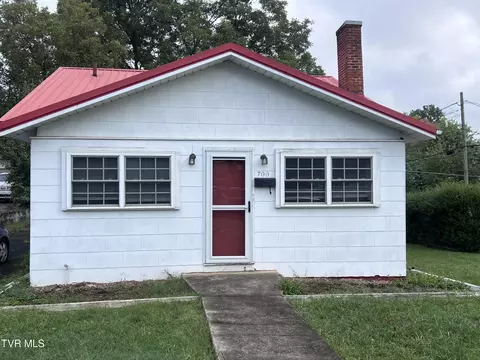 700 Hamilton Street Johnson City Tn 37604, Johnson City, TN 37604