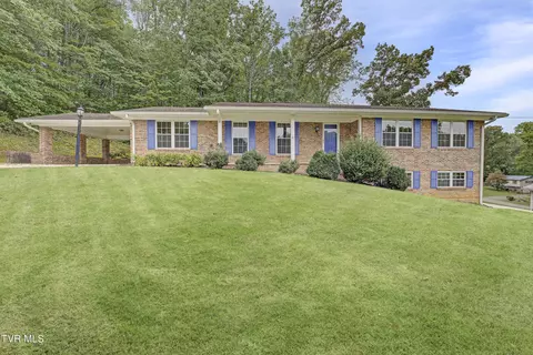 108 Tanglewood Trail Afton Tn 37616, Afton, TN 37616