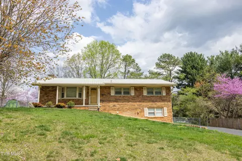 320 Bell Street Blountville Tn 37617, Blountville, TN 37617