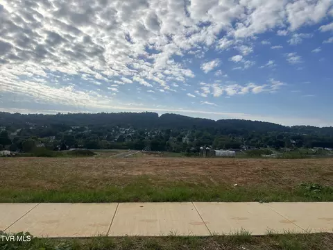 101 Glaze Farm Way Johnson City Tn 37601, Johnson City, TN 37601