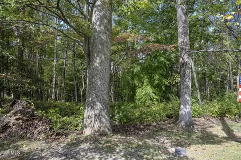 lot68 Wood Land Circle Lebanon Va 24266, Lebanon, VA 24266