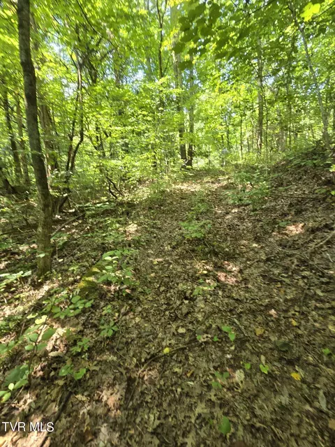 150 Barker Road Gray Tn 37615, Gray, TN 37615 photo 1