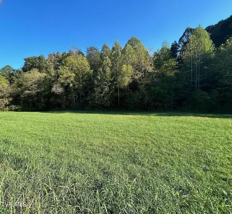 tbd Butcher Valley Road Rogersville Tn 37857, Rogersville, TN 37857