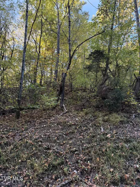 tbd Hobbs Hollow Road Blountville Tn 37617, Blountville, TN 37617