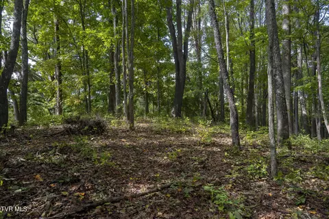 lot69 Wood Land Circle Lebanon Va 24266, Lebanon, VA 24266