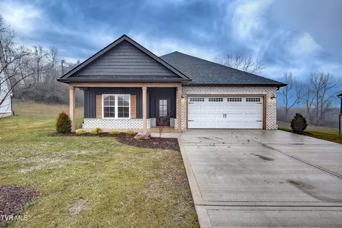 298 Dry Kiln Court Gray Tn 37615, Gray, TN 37615