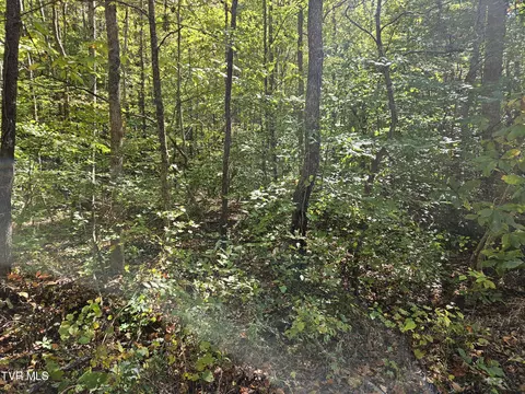 000 Cave Springs Road Rogersville Tn 37857, Rogersville, TN 37857